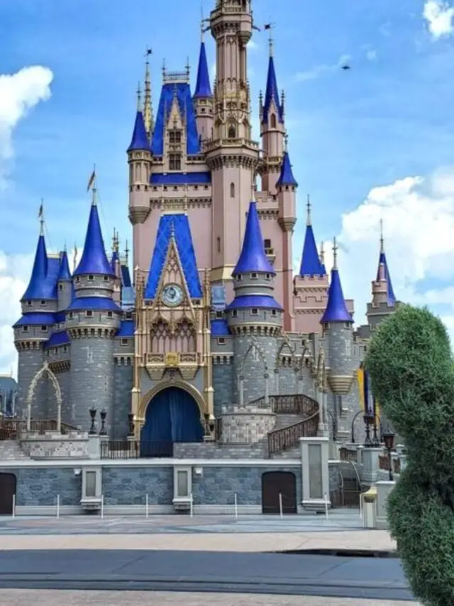 “5 Magical Moments to Experience at Magic Kingdom Park”